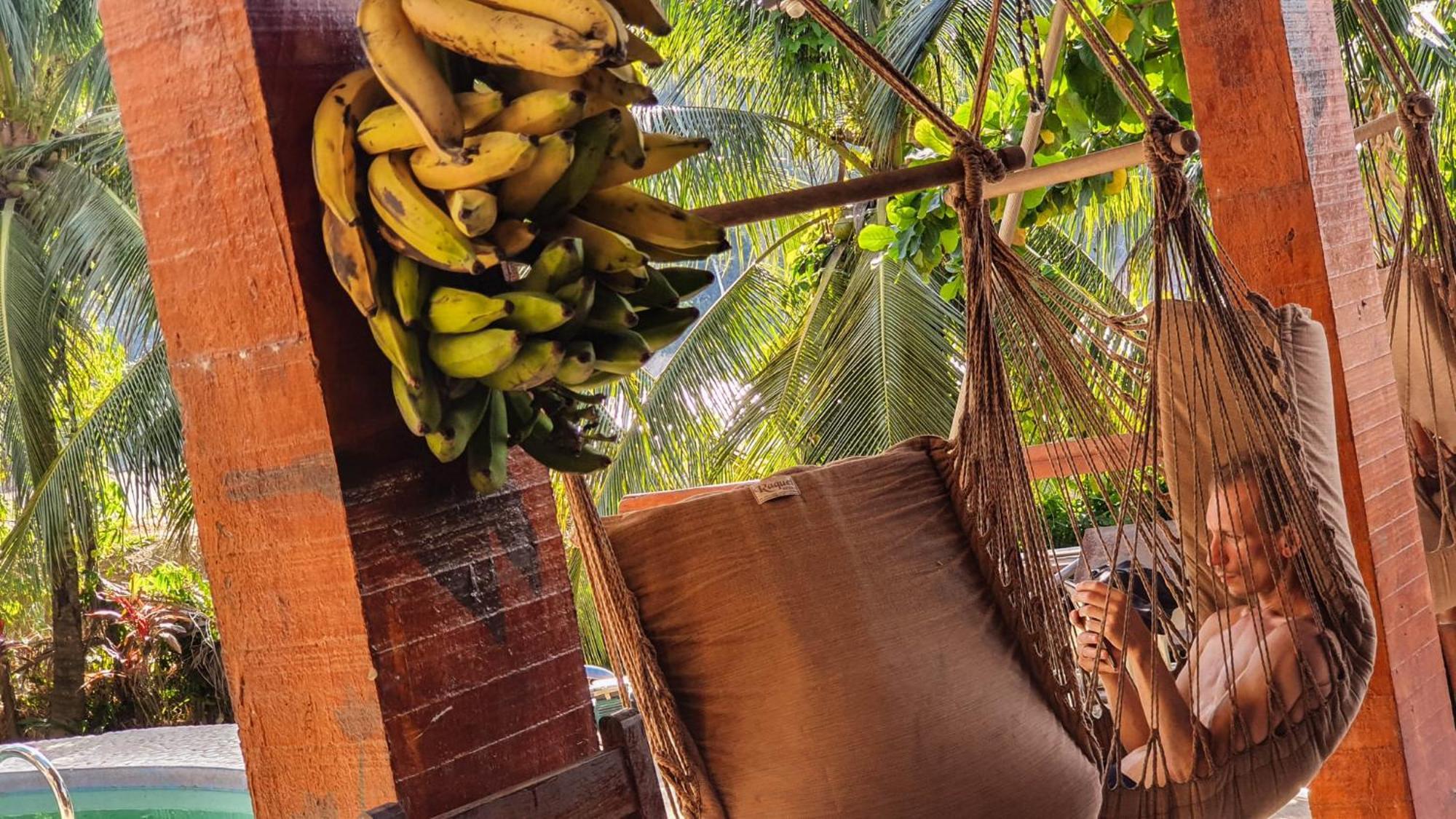 Lobo Hostel - Rurrenabaque (Adults Only) Екстериор снимка