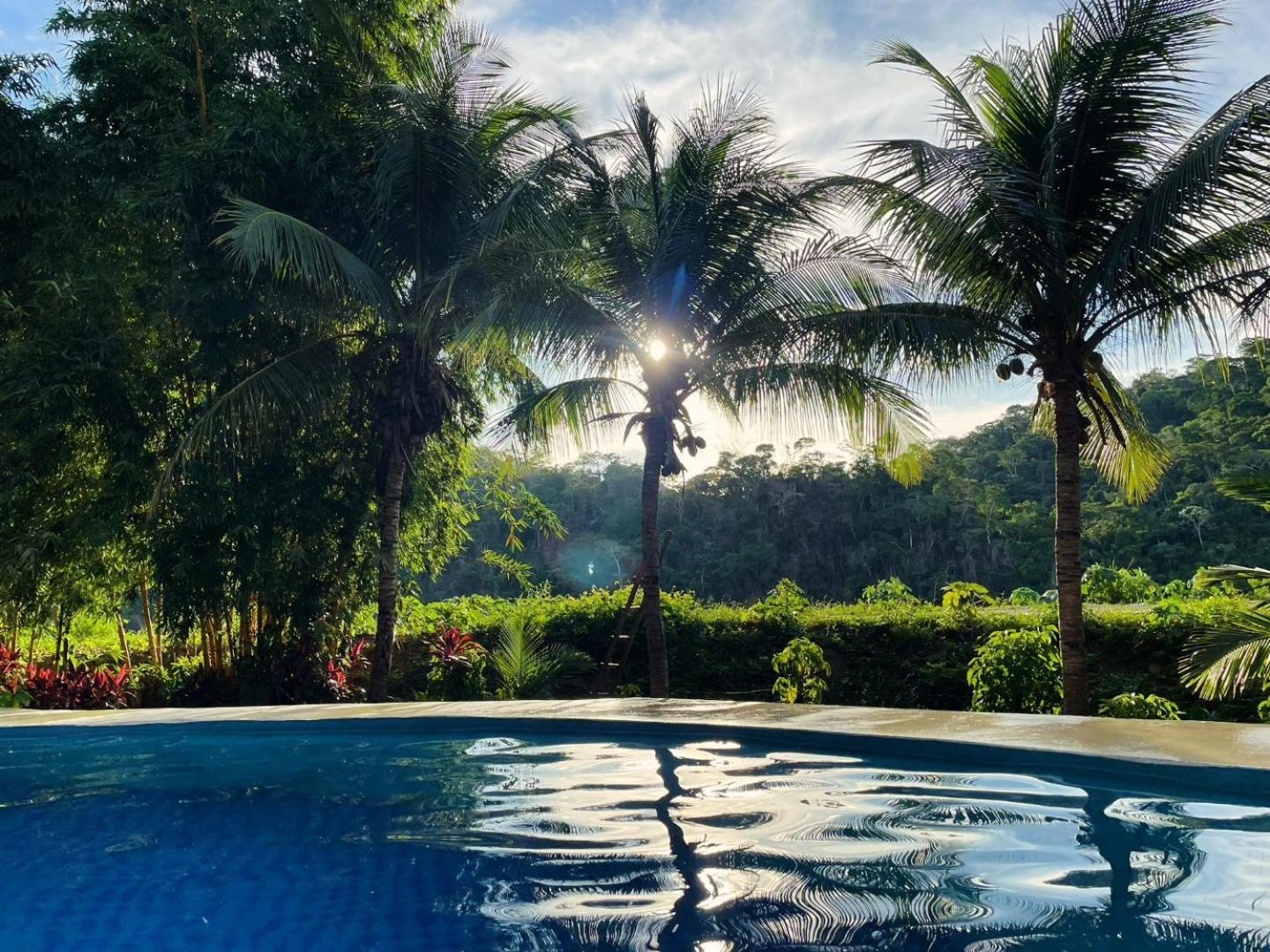 Lobo Hostel - Rurrenabaque (Adults Only) Екстериор снимка