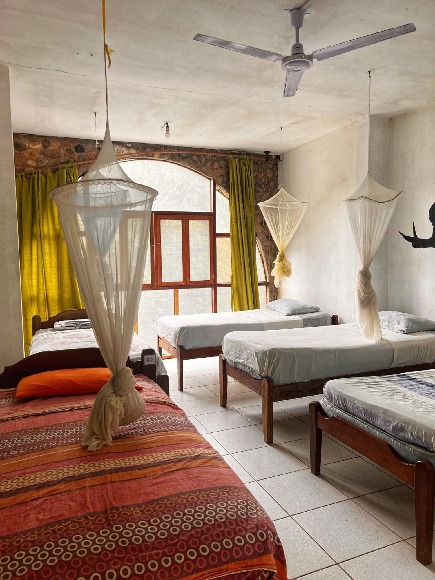 Lobo Hostel - Rurrenabaque (Adults Only) Екстериор снимка