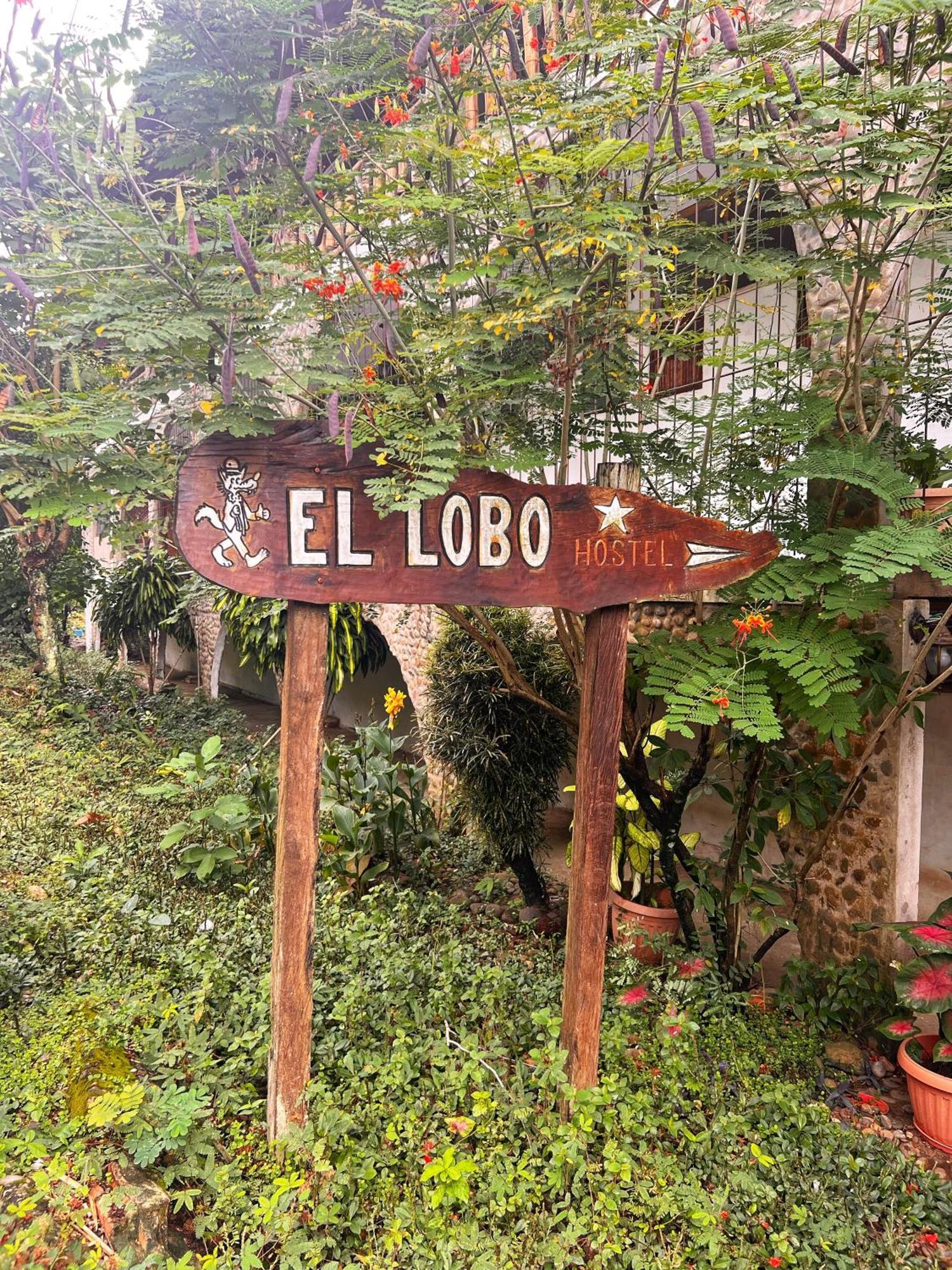 Lobo Hostel - Rurrenabaque (Adults Only) Екстериор снимка